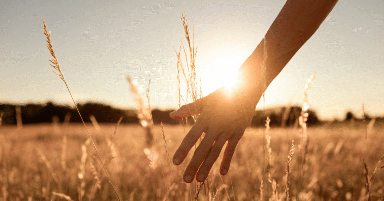Recharging Mid-Summer: A Holistic Reset for Body and Mind